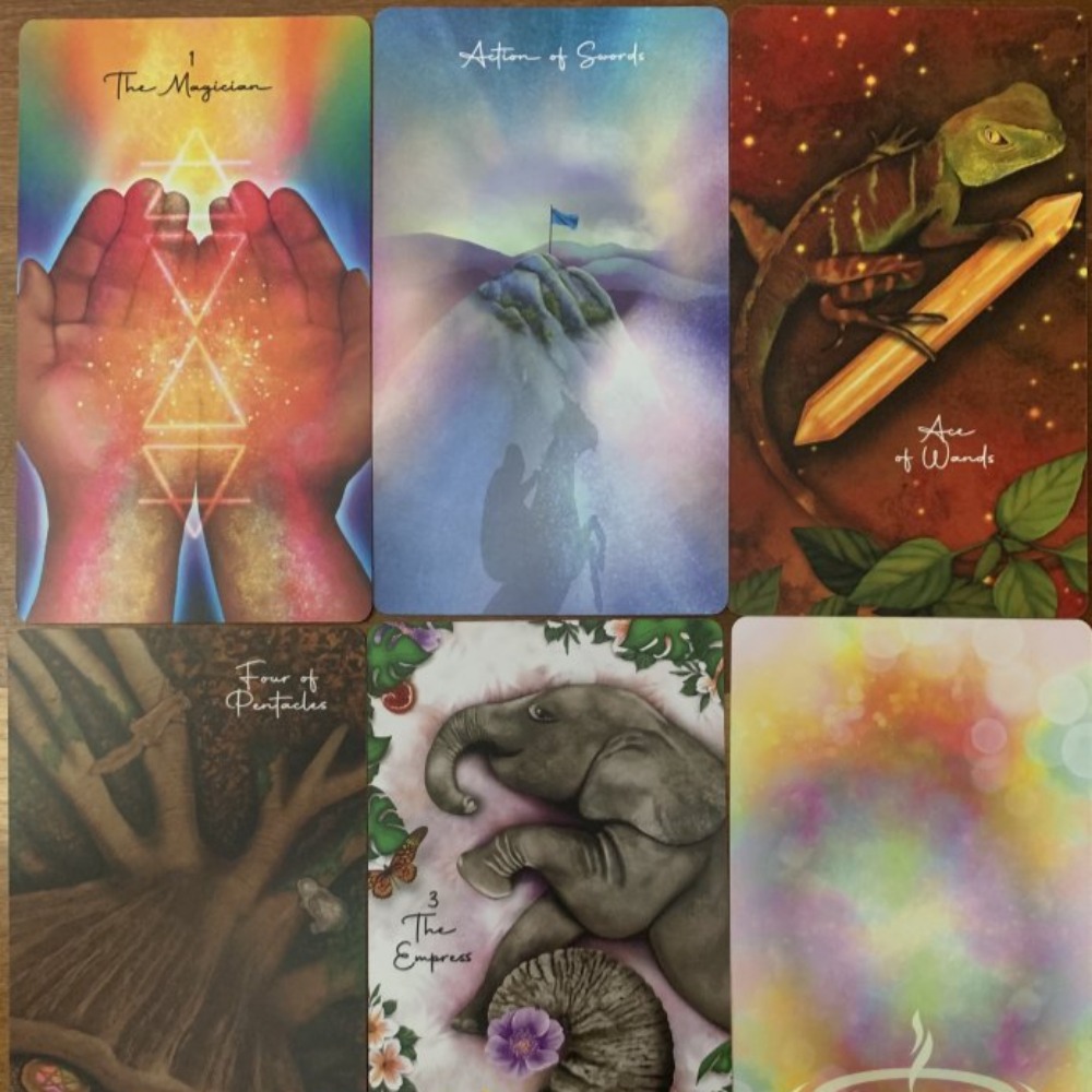 Tarot of Oneness 10.3*6 Cm 78  - Tarot Cards Deck With Guidebook 评论和价格