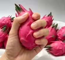 Handmade Simulation Pitaya Bui - Building Blocks 评论和价格
